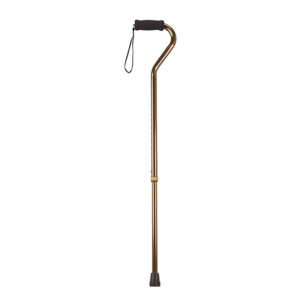 Gooseneck Bronze Cane