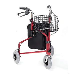 Light Duty 3-Wheeler