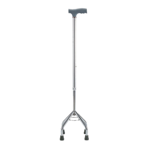 Quadruped Stick
